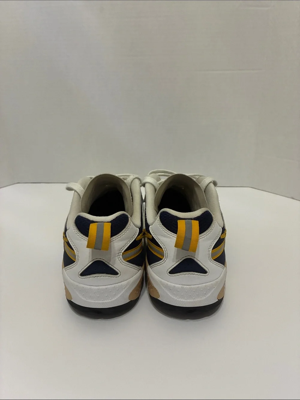 Women’s Nike skater sneakers